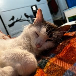 Meet your Posher, Christina